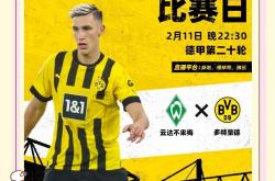 爱游戏官网-不莱梅主场艰难战平，保持德甲不败纪录的简单介绍