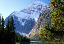 伯恩茅斯遭遇连败，士气低迷形势不妙