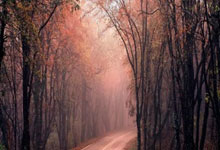 爱游戏体育地址-雷霆惨败不敌骑士，骑士晋级季后赛，骑士对雷霆的比分预测