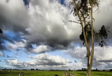 爱游戏登录入口-国米客场战平尤文图斯，暂居积分榜榜首，国米对尤文2021