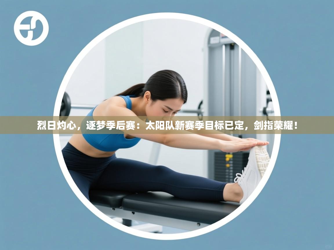 烈日灼心,逐梦季后赛:太阳队新赛季目标已定,剑指荣耀! 第2张